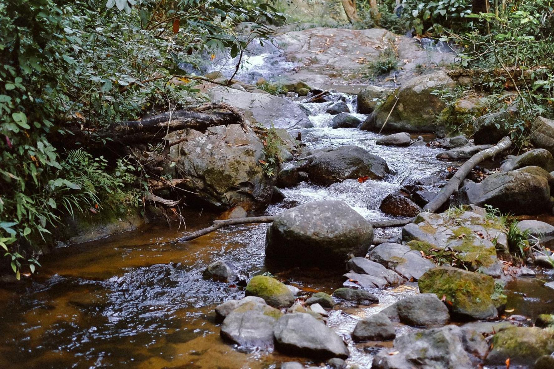 Bee Forest Ban Pok Nai Exterior photo